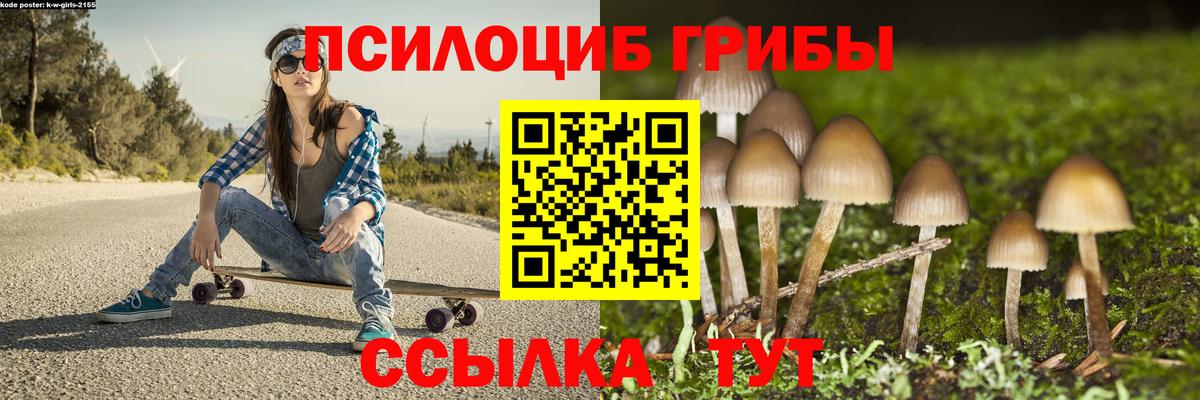 Псилоцибиновые грибы прущие грибы Новокубанск